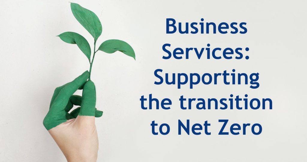 BSA Net Zero